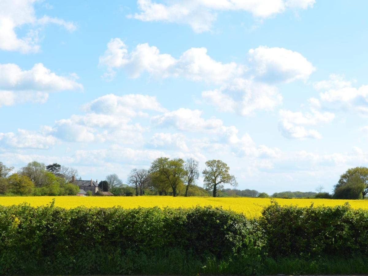 The Bird In Hand Ashwellthorpe ภายนอก รูปภาพ
